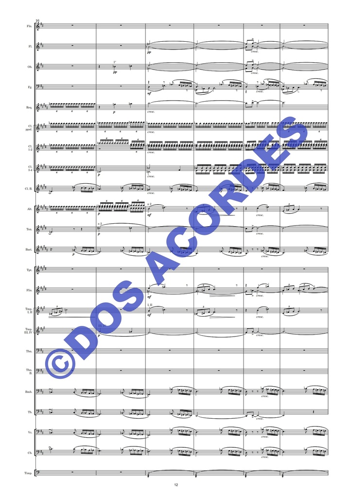 miserere_003.jpg