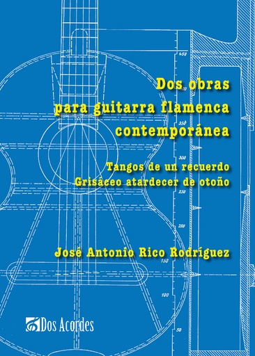 Two pieces for contemporary flamenco guitar